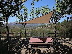 Coolaroo Everyday Vela triangular 3 x 3 x 3 m img 8